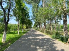 -东郊湿地公园