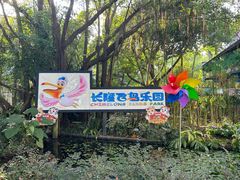-广州长隆飞鸟乐园