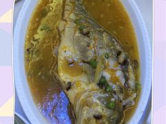 菌汁大黃魚-京尊烤鸭店JINGZUN(春秀路店)
