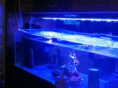 -水碾河刘老大串串香(水碾河路店)