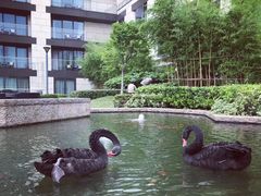 -南京圣和府邸豪华精选酒店