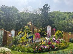 -上海共青森林公园