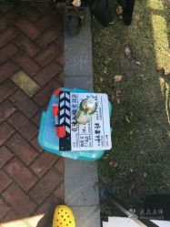 -上海美兰湖妇产科医院