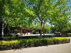 -大兴滨河森林公园