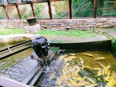 -Local泰莲庭(虹鳟鱼店)
