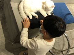 -浣熊柯尔鸭土拨鼠·电玩咖