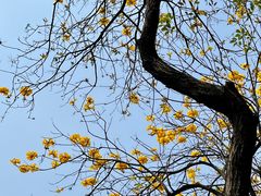 -怡海公园(桂城街道)