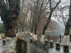-花溪公园