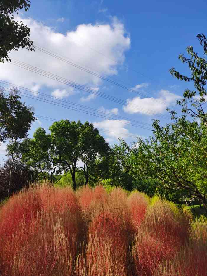 张衡公园-"周末应该人会多一些,进入公园大部分都是工.