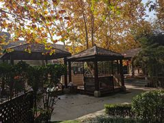 -春晖园度假酒店温泉