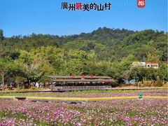 -红山村