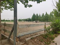 -北京群众马术培训基地