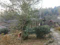 -木子山庄·安徽省老字号·中国炖锅宴