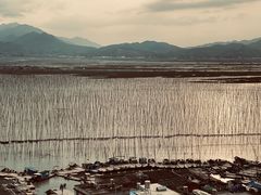-北岐滩涂