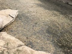 -宝泉胜境旅游度假区