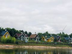 -盐城丹顶鹤湿地生态旅游区