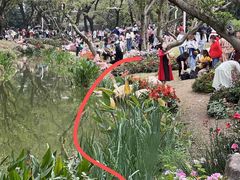 -人民公园(罗湖区)