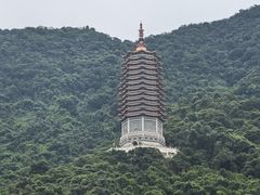 -深圳仙湖植物园