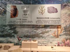 -辽宁古生物博物馆