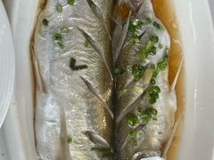 -蟹天蟹地农家菜·阳澄湖大闸蟹(浅水湾店)