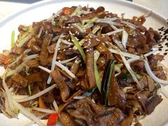-点都德·毕德寮