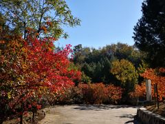 -北京鹫峰国家森林公园