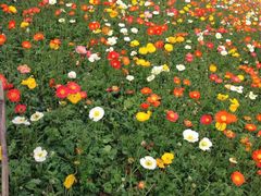 石象湖-保利石象湖景区