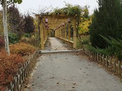 -中家鑫园温泉酒店鑫悦汤泉