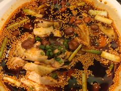 -眉州东坡(北苑华贸店)