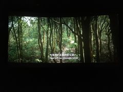 -CGV影城(新牌坊4DX店)