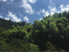 -阿依河景区