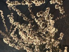 -安定门(地铁站)