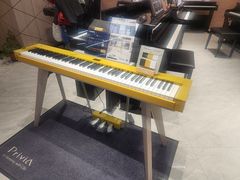 -知音艺术教育培训·钢琴培训·音乐培训(河西金鹰世界校区)