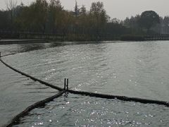 -尚贤河湿地