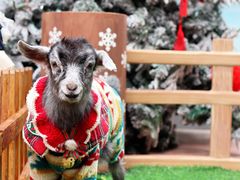 -东莞松山湖万象汇