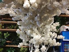 -付掌柜在成都·热炒砂锅集(金禾店)