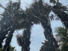 -深圳湾公园(南山区)
