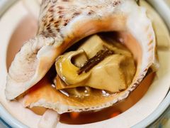 陈皮海螺-品悦酒店(三林古镇店)