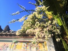 -深圳国际园林花卉博览园