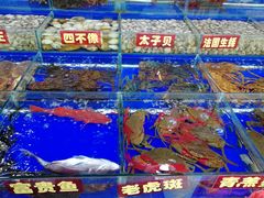 -江杨农产品批发市场