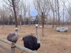 -大连森林动物园