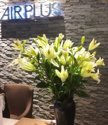 -Air Plus 美发沙龙