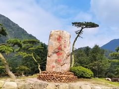 -姑婆山旅游区