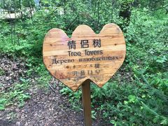 -汤旺河林海奇石景区
