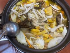 -菌之家·专业纯野生菌火锅·特色炒菌