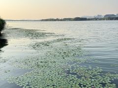 -长广溪湿地公园