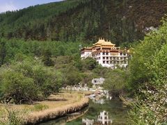 -稻城亚丁景区-冲古草甸