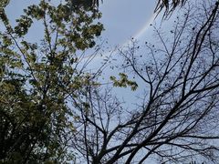 -厦门日月谷温泉渡假村