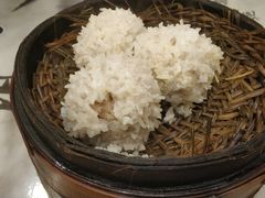 大力丸-风波庄(罍街分舵)