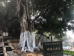 -胡里山炮台